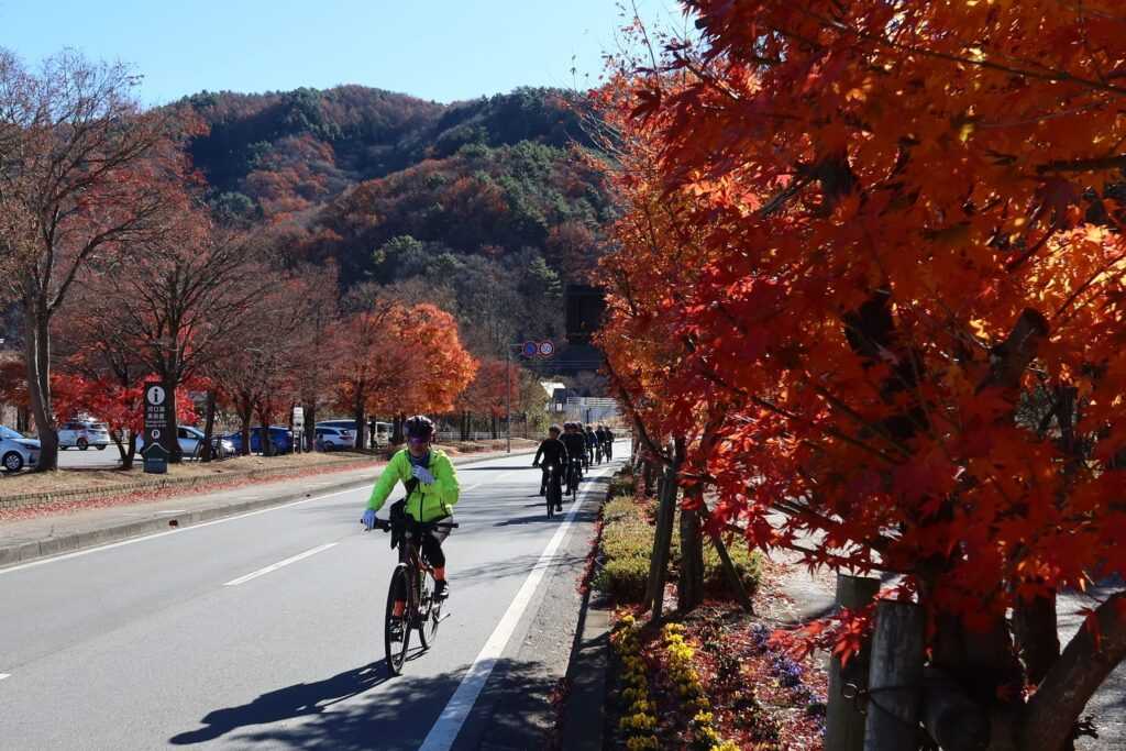 感謝河口湖紅楓回眸送行  photo by富士山サイクルネット協議会