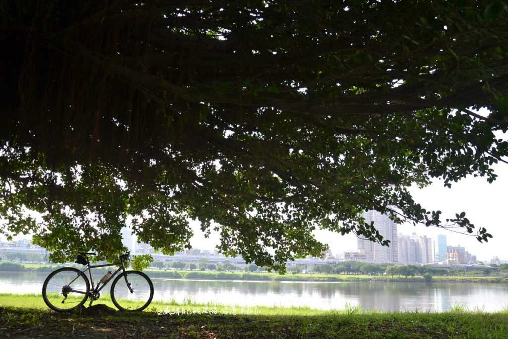 加分景尾溪透光綠廊道一幅水文風情畫  