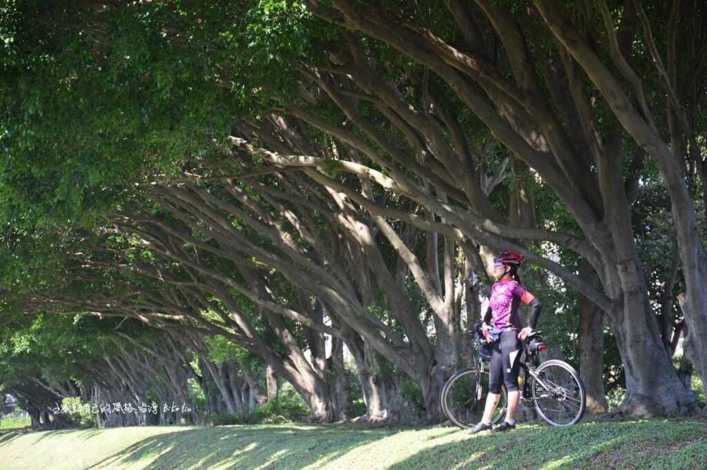 滿心綠意樹林段大漢溪左岸 