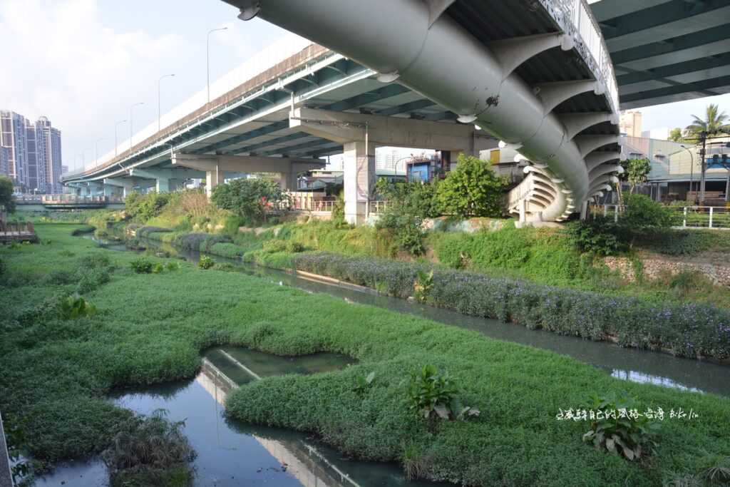 「湳仔溝津渡橋」讓水圳見天日的一段