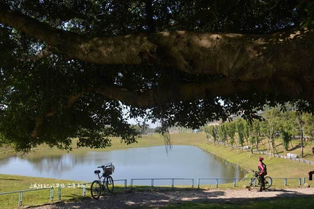 「沐心池」水岸自有她沉靜田園風光