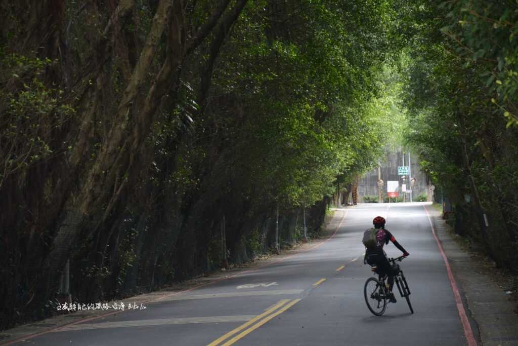 豁然開朗的爽勁！「樹林」不只是樹林