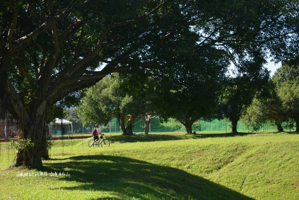 福和壘球場旁綠蔭景觀