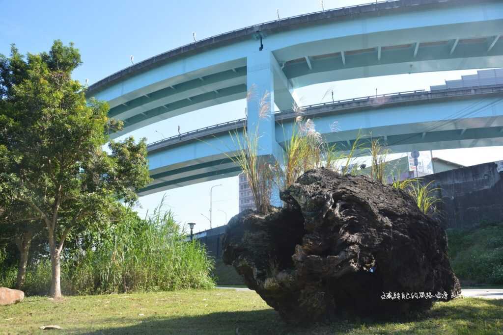 城林人工濕地/百年漂流木