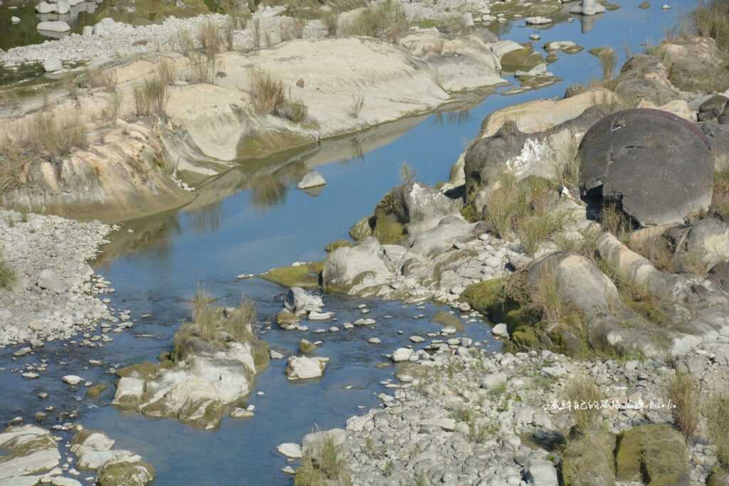 大漢溪河床上的鶯歌石