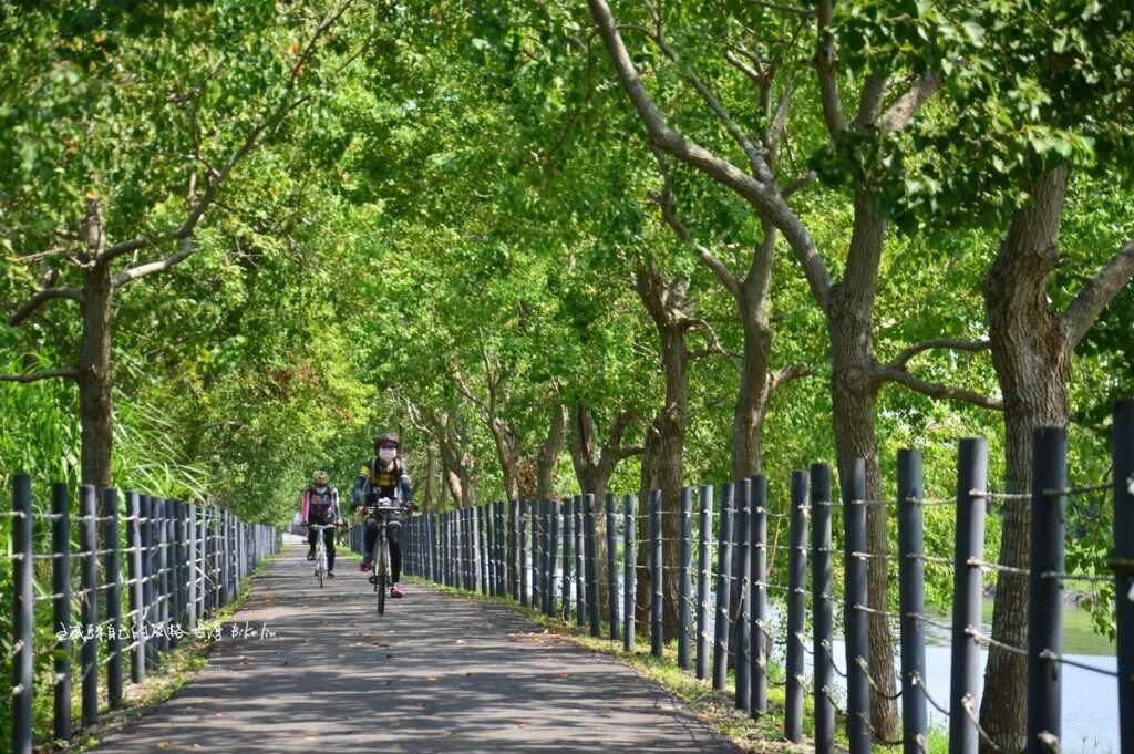 冬山河左岸自行車道夏日綠蔭