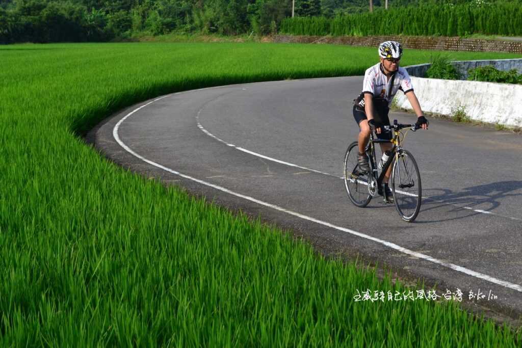 陳厝坑溪水田