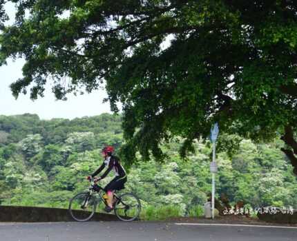 Tour10.喘息版賞三芝桐花環線「北18北13、八連溪」─ ─短而美不ㄍㄧㄥ三芝「橫山」雪