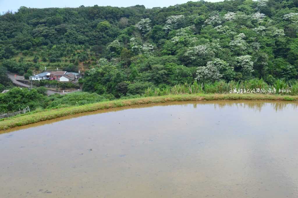 北18觀景台潦過水田近在咫尺錯覺