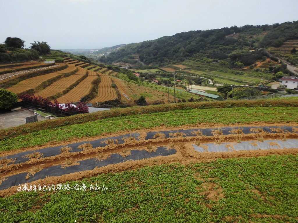 橫山梯田光芒只能在回憶裡尋