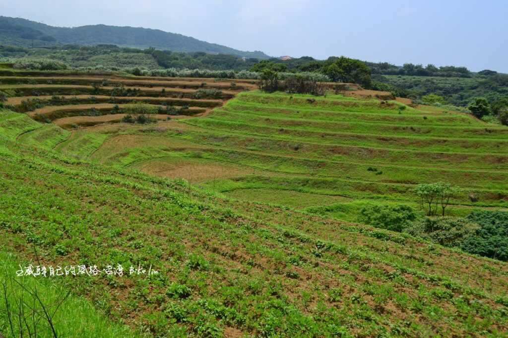 迷惑台灣曾經擁有的梯田原味