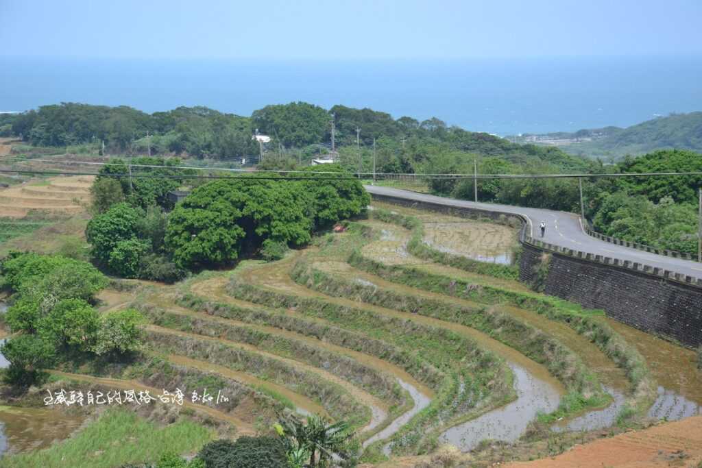 2014年不落活動茉莉幫車友們先展現水田視野