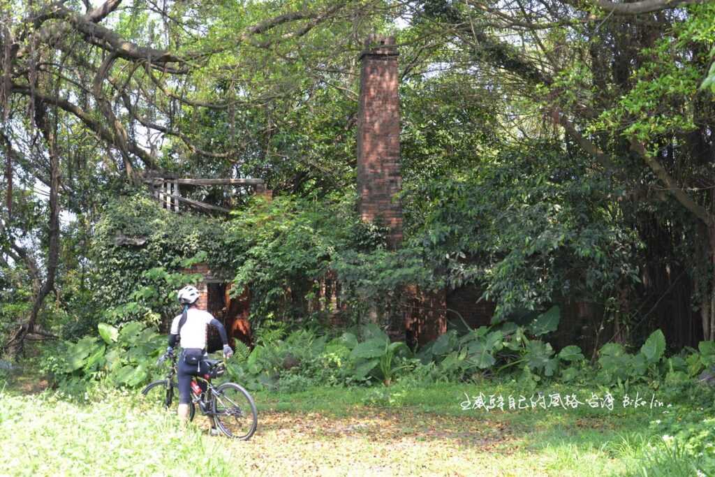 曾經路過第一眼吸引好奇睡蓮田旁廢墟
