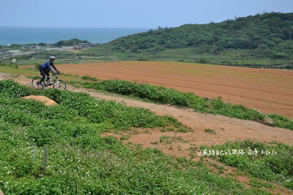 小坑路祕境之三「登山車專屬蕃薯田off road」