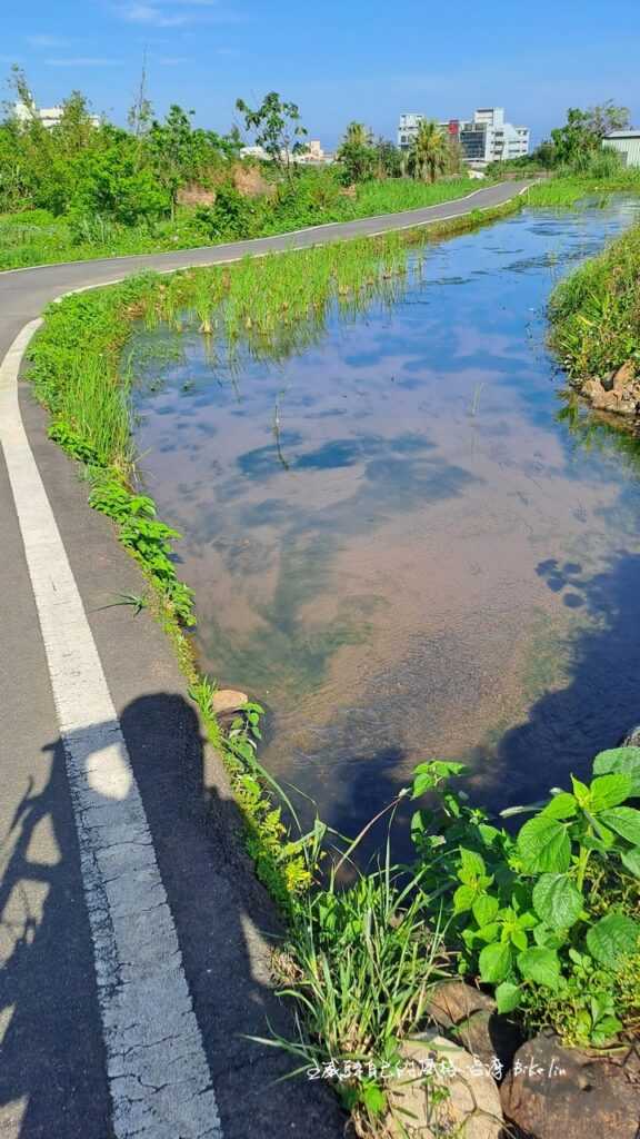 八連溪支流「興店圳田野」