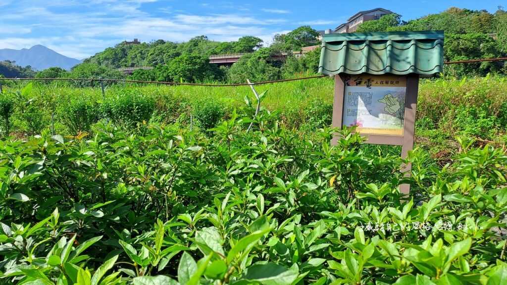 台電工程解說碑道出回饋三芝八連溪車步道