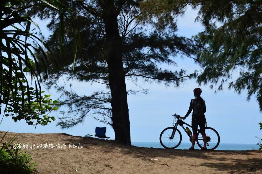 從車道木麻黃林透出濱海氣息世界