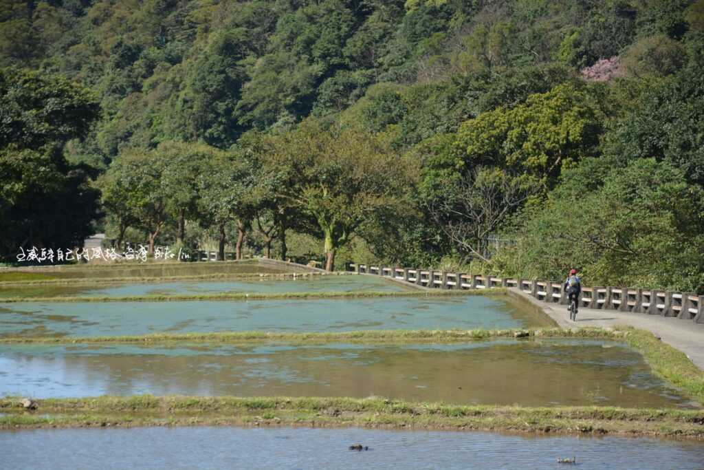 平靜八連溪頭水田