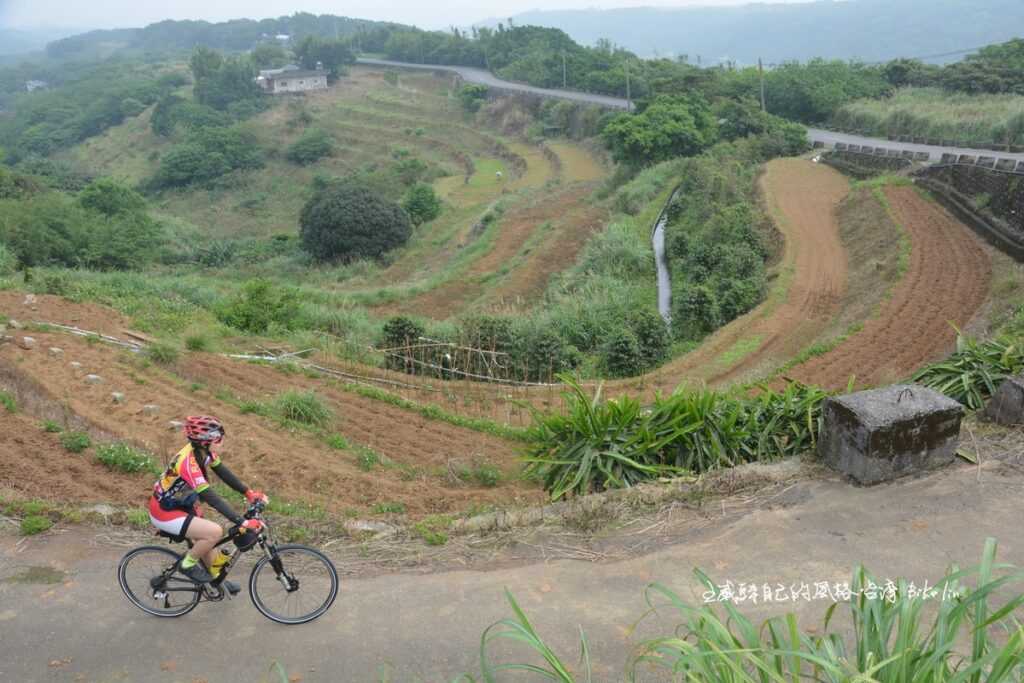 2024年我們只能細細緬懷它曾經擁有的梯田風光