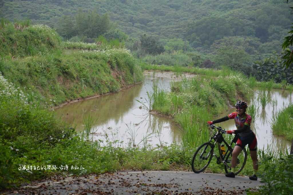 小坑路祕境之五「迷你水田」