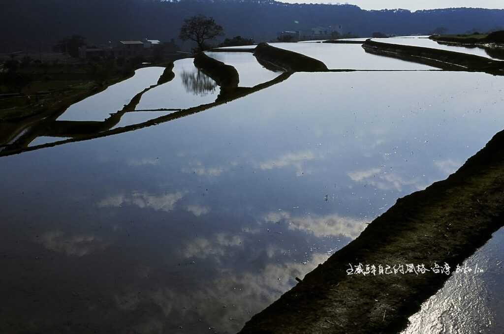 2007年最恬靜如水鏡般光澤「大龜崙圳水田」