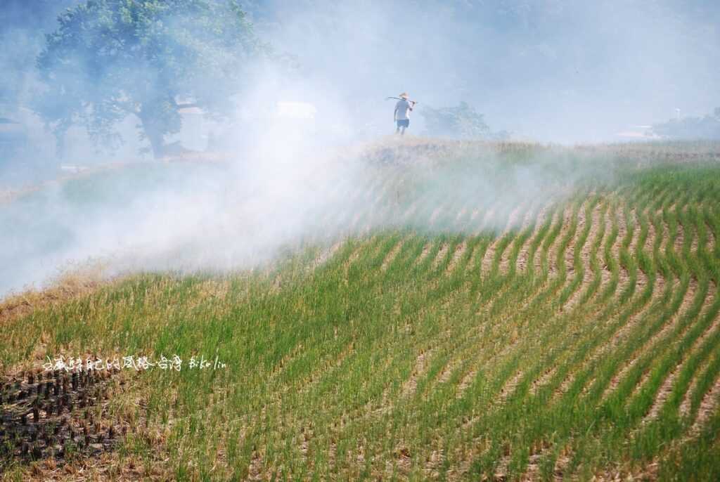 那位辛勤火耕的阿伯依在嗎?