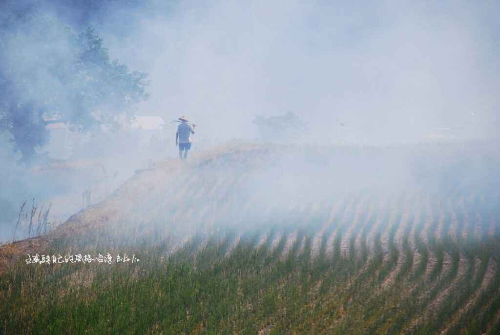 2010年少見火耕焚燒田地再肥沃土壤