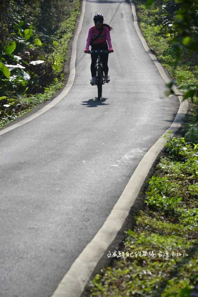 少不了騎「埤島里樹林」急緩陡坡起伏快感