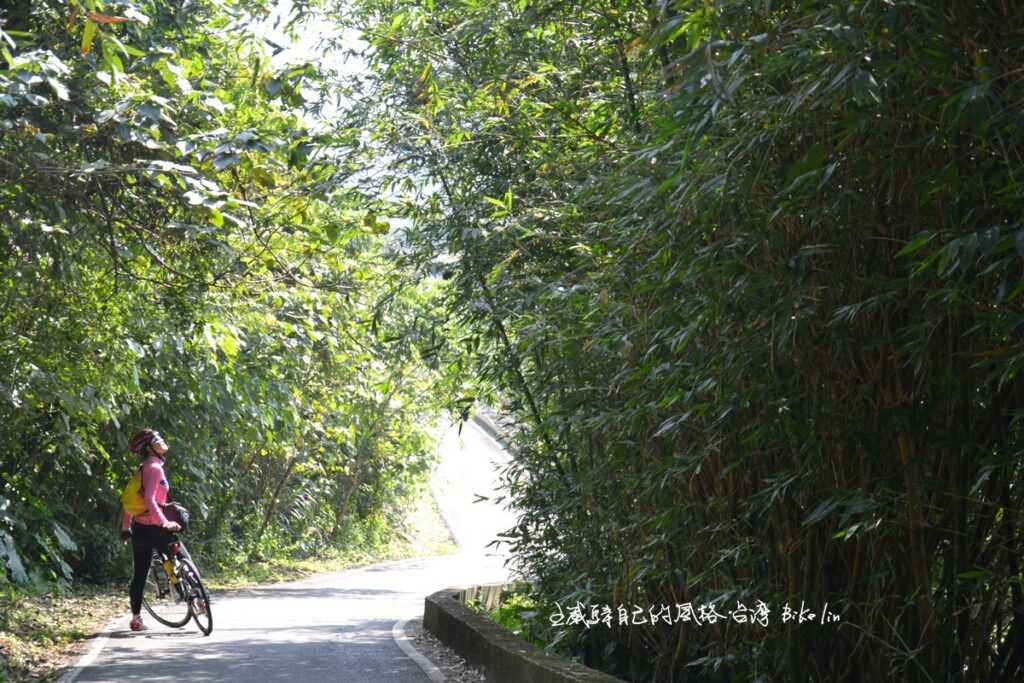 柳暗花明又一村的綠竹林視野