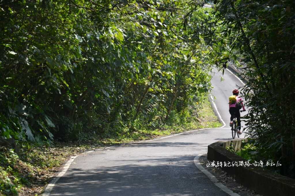 騎車北海岸最頂極綠蔭路段之一埤島里