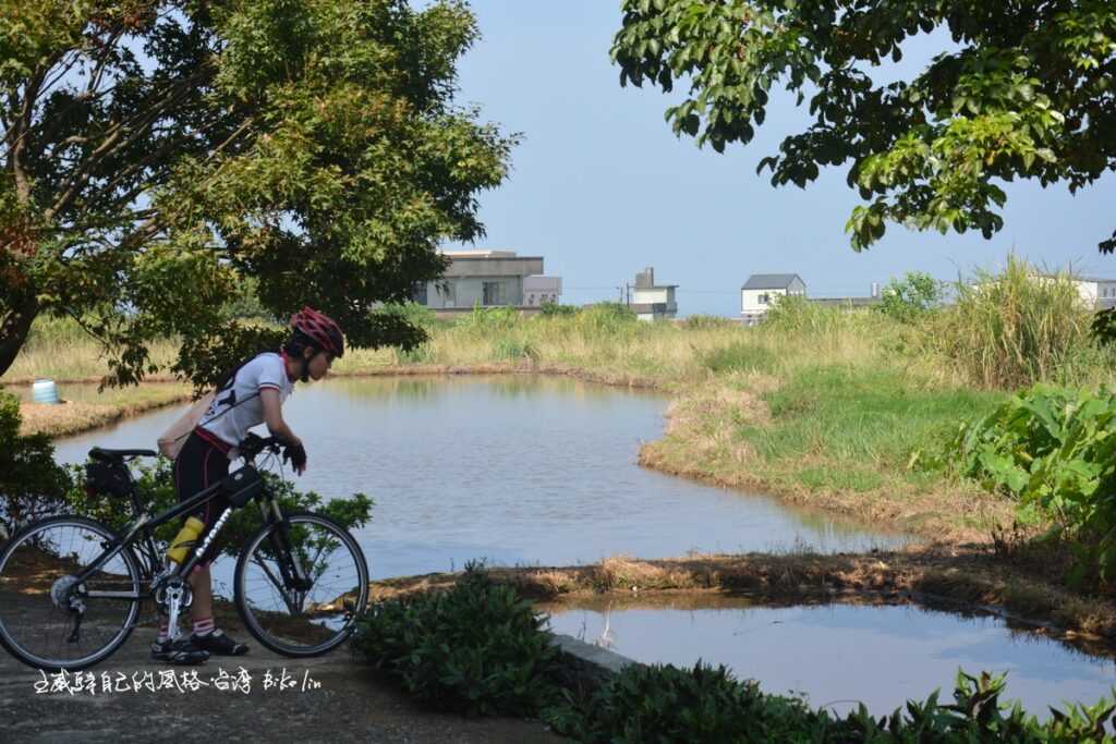 循大屯溪農路療癒水田