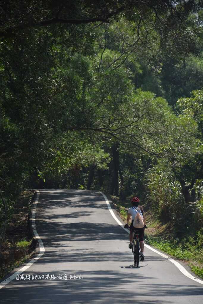 桂竹圍直長坡樹林