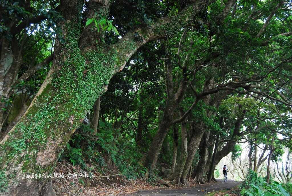 強烈止步山仔頂綠牆