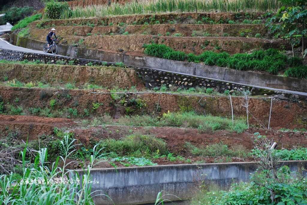 社厝坑這坡段準備迎接短急陡坡