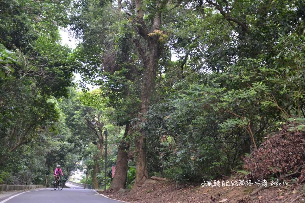 1.7k爬升急陡坡124m→慈修禪寺→陡坡頂點 