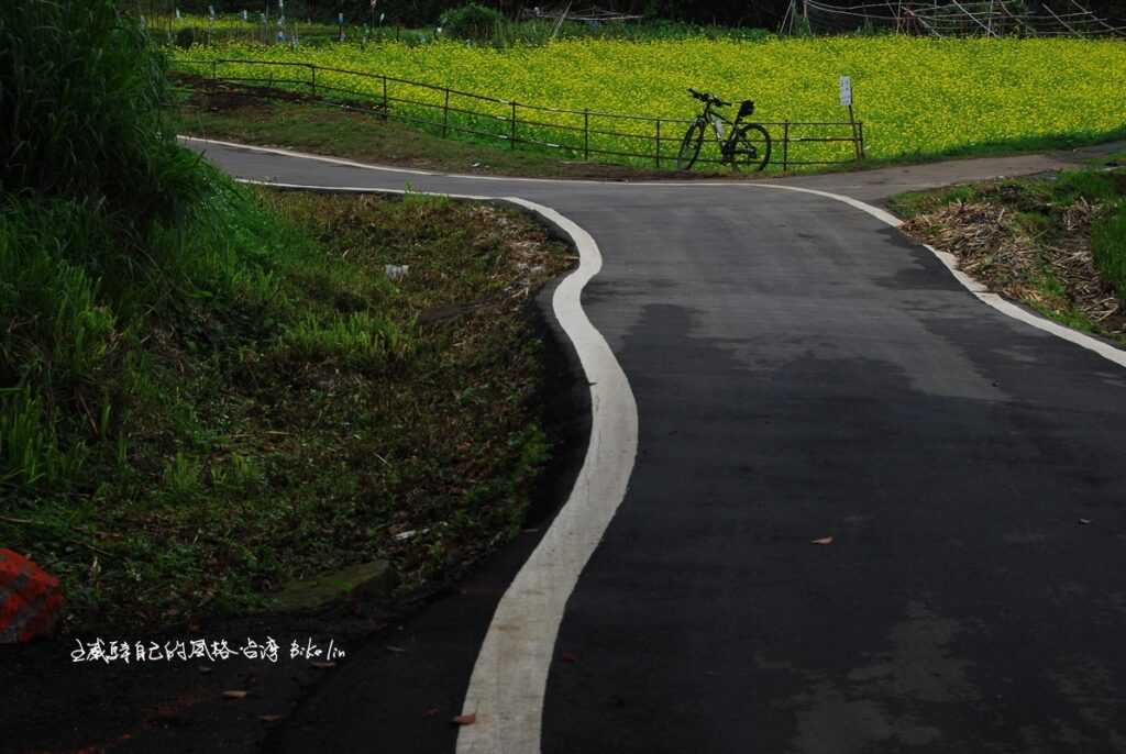 稀罕撒遍油菜花「三空泉」農路