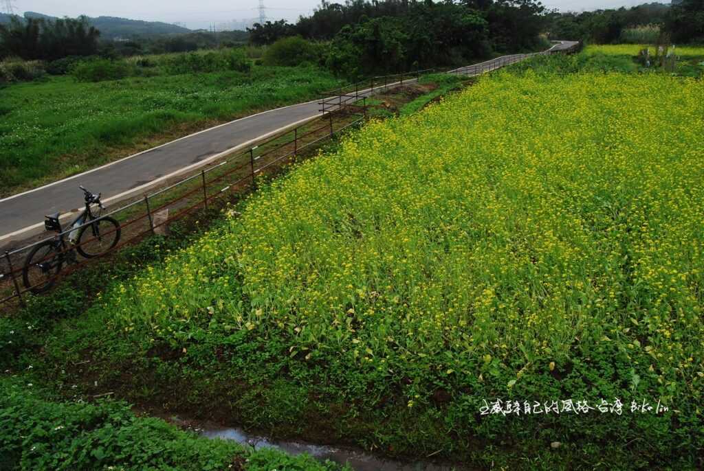 2010年佇足放空的「三空泉」