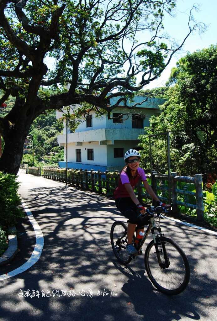 茉莉Jasmine最愛杜英老樹