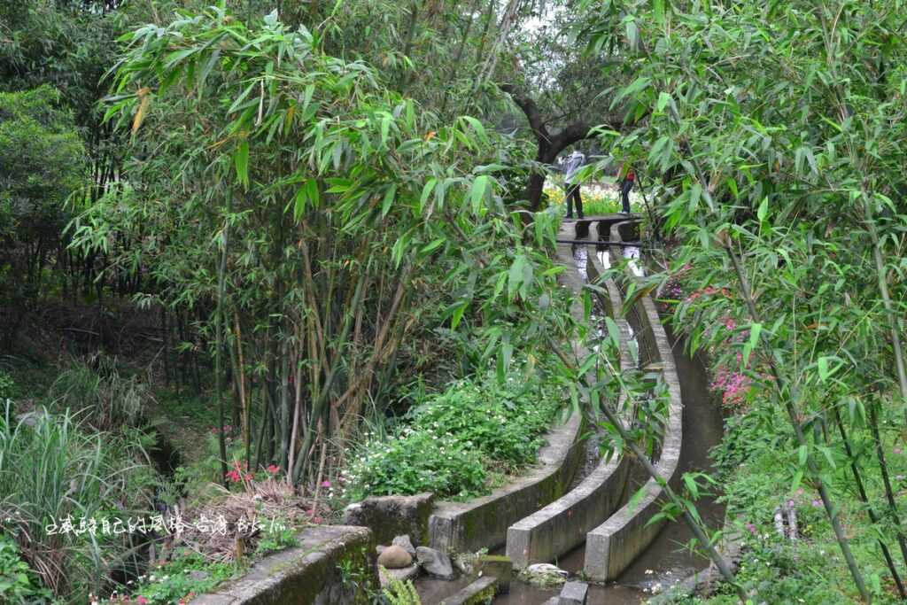 古老水圳蜿蜒在「鄒厝崙」水田深處