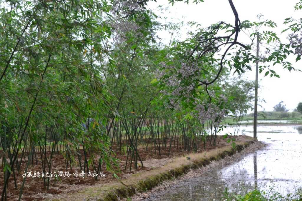 彼此貼近想呼吸的鄒厝崙田園