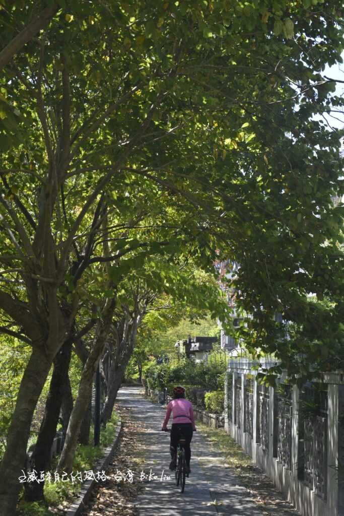 夏日滿佈綠蔭公司田溪自行車道