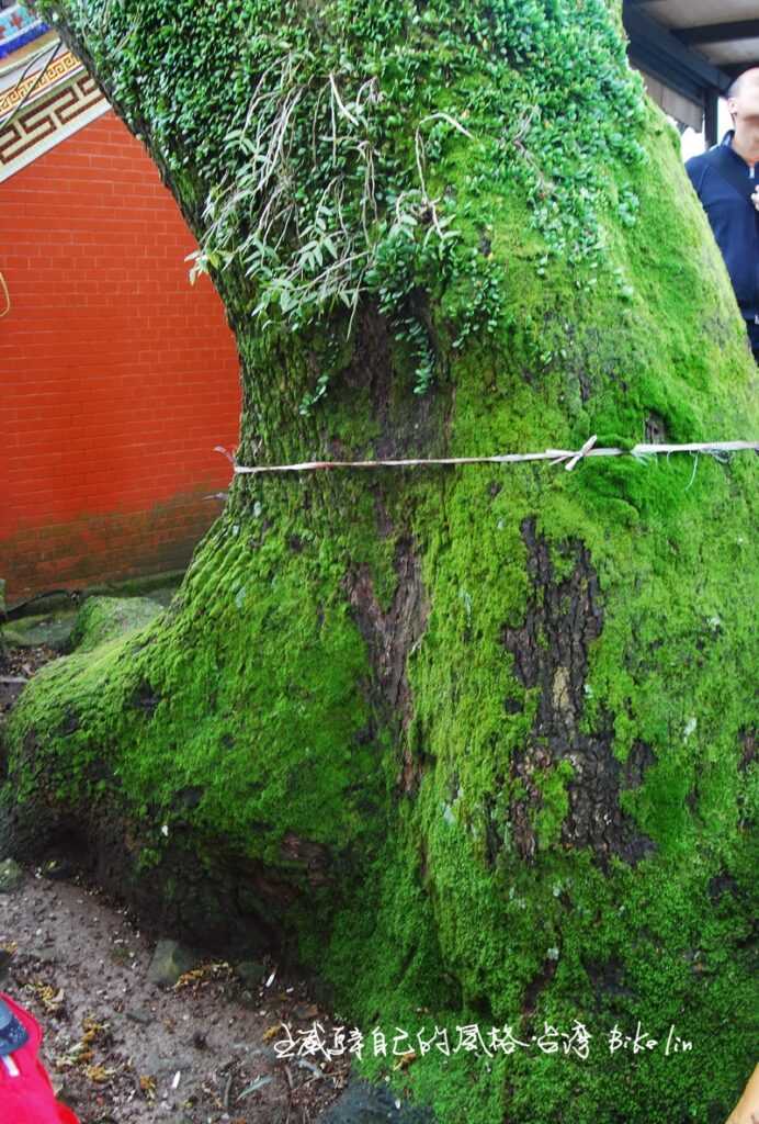 興福寮福德宮/百年老樹群