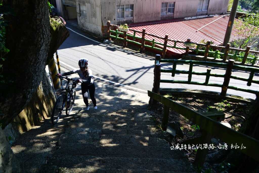 興福寮老榕樹/古厝 