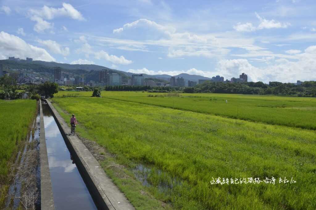 舒緩暖身掃描關渡平原水漾