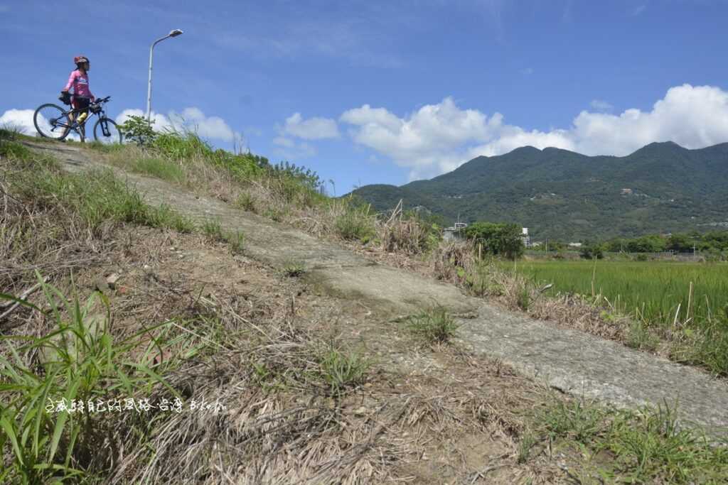 大業路517巷關渡農場田野斜坡兩樣情