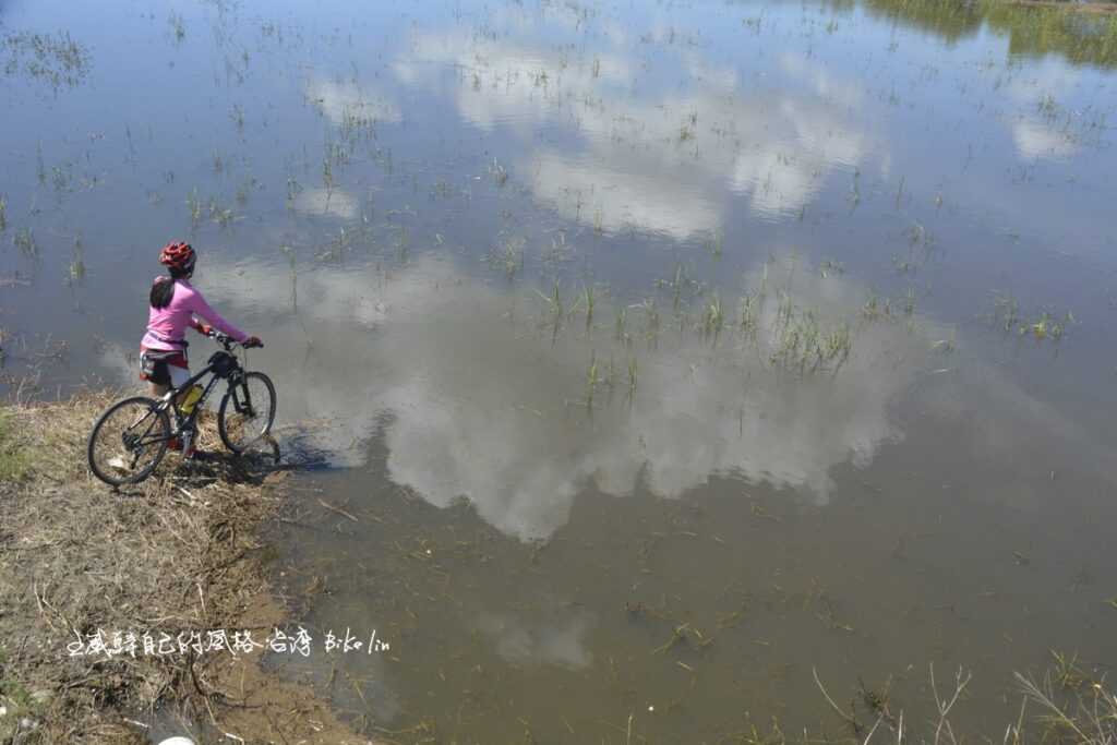 關渡平原水漾在自己心田裡、到處都是