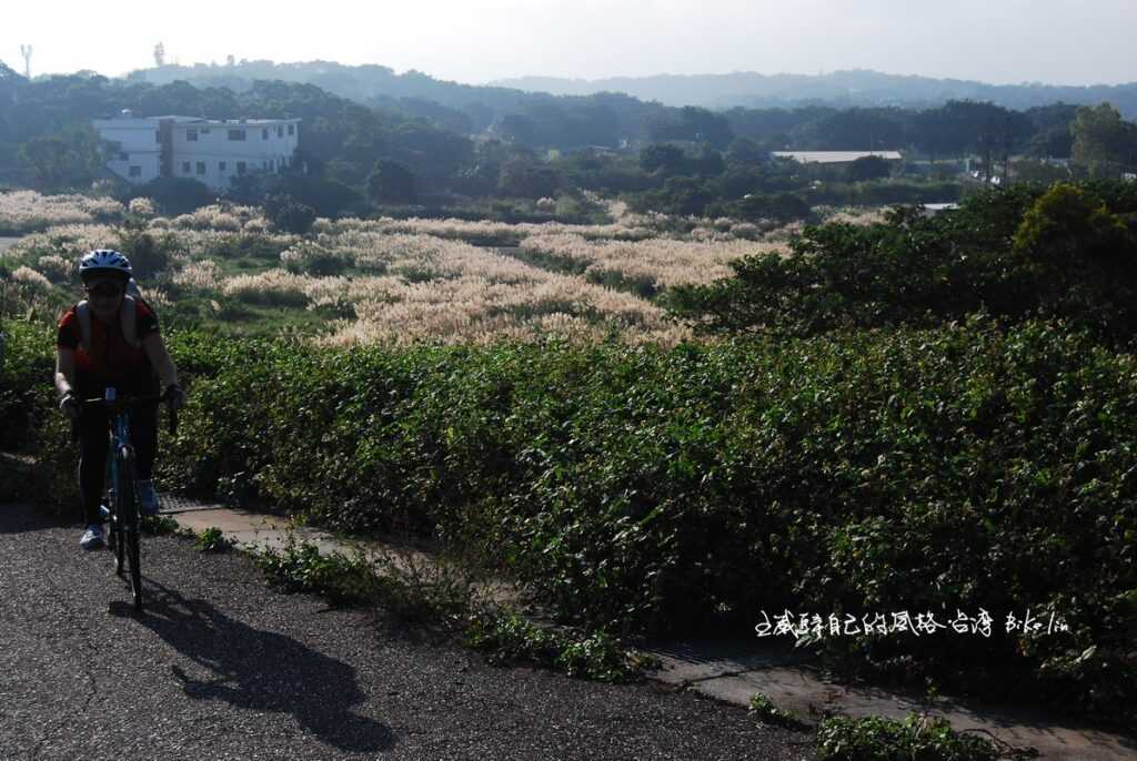 Baby lola幸運抓住2009年小坪頂芒花海