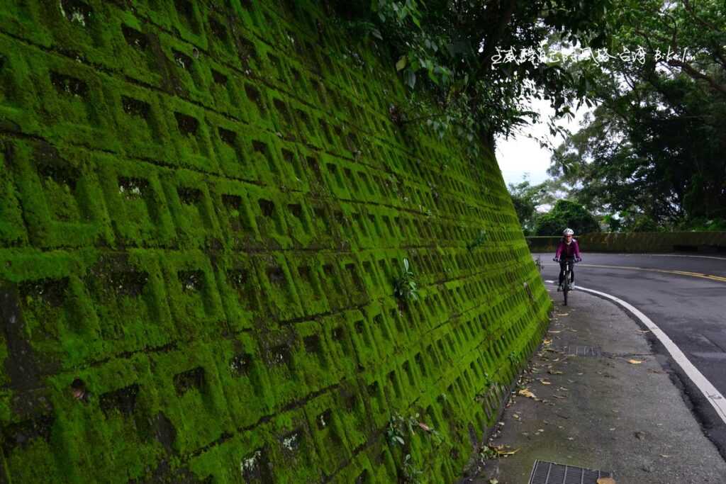 絕對犒賞小練家子2.3k爬升235m長陡坡稻香路