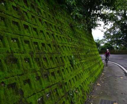 Tour5.小練家子小環線「稻香路」─ ─2007-2012小坪頂風雲&2024貴子坑風華