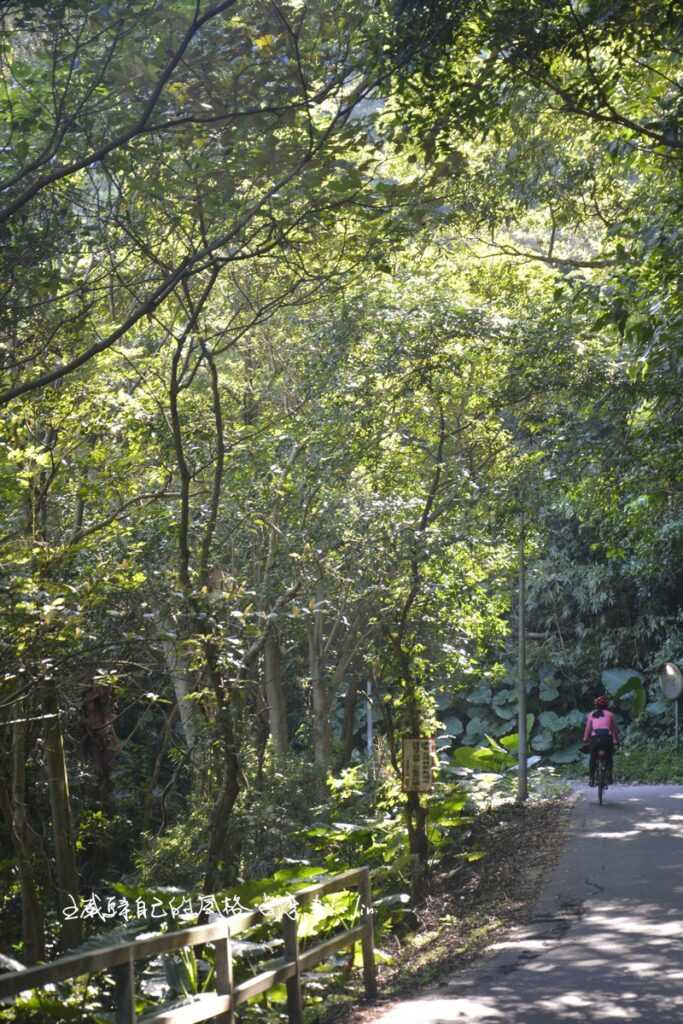 北2坪頂路右轉往三空泉小徑